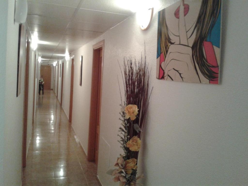 Hostal Arneva Orihuela エクステリア 写真